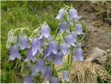 Grpiče / Korpitch - Blekova planina